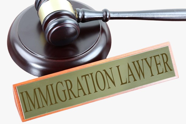 Criminal Immigration